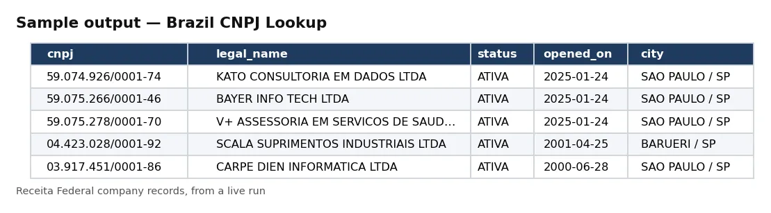 Table of Brazilian companies: CNPJ, legal name, status, opening date, city and size.