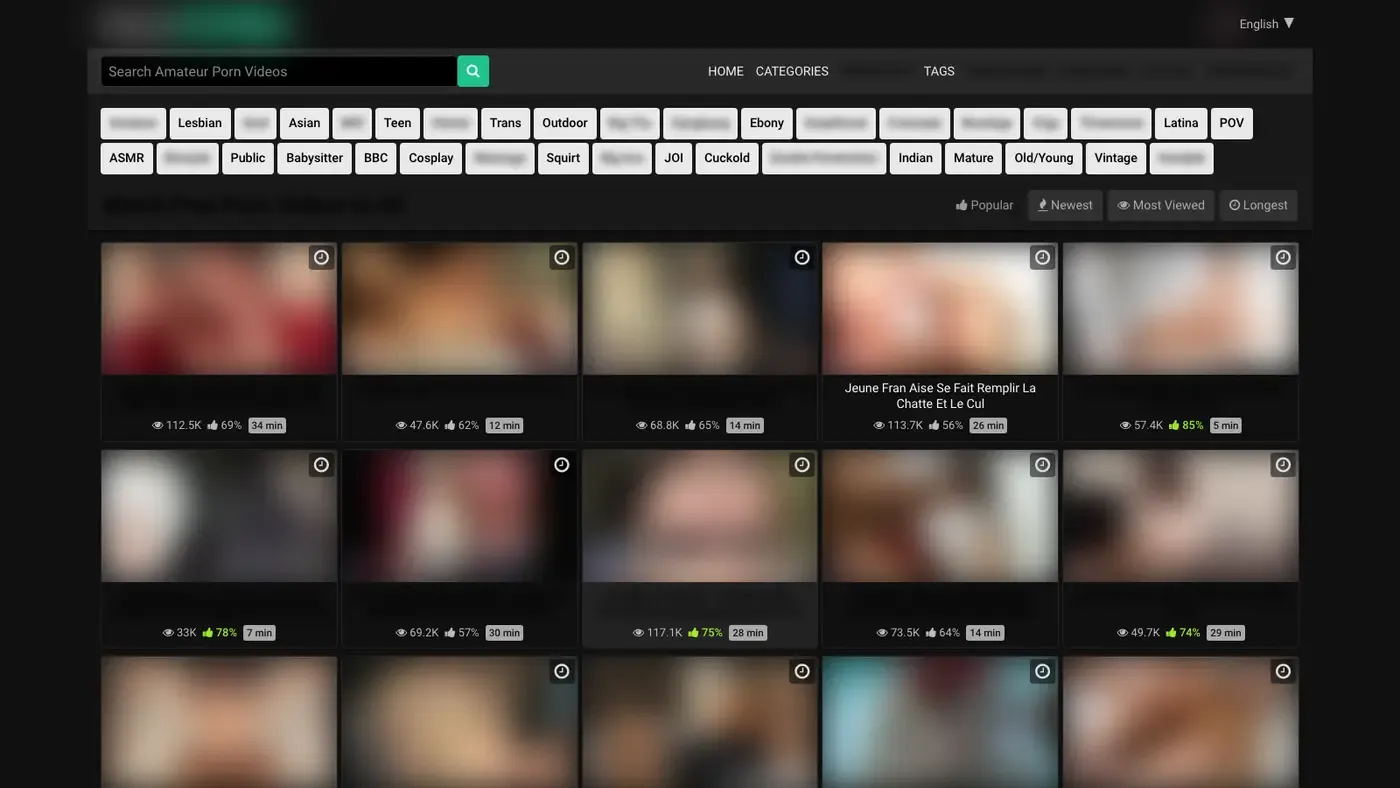 Pornbaker Downloader