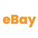 Ebay Products Bycategory avatar