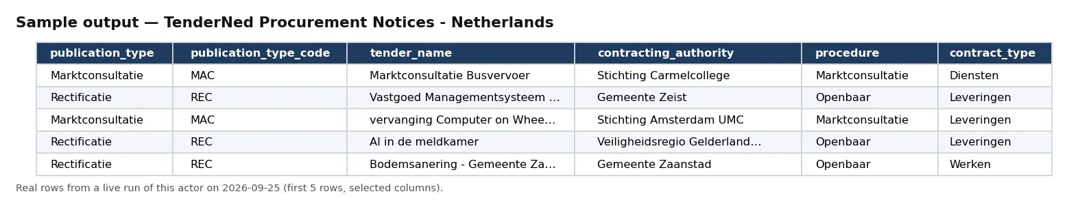 Sample output — TenderNed Procurement Notices - Netherlands