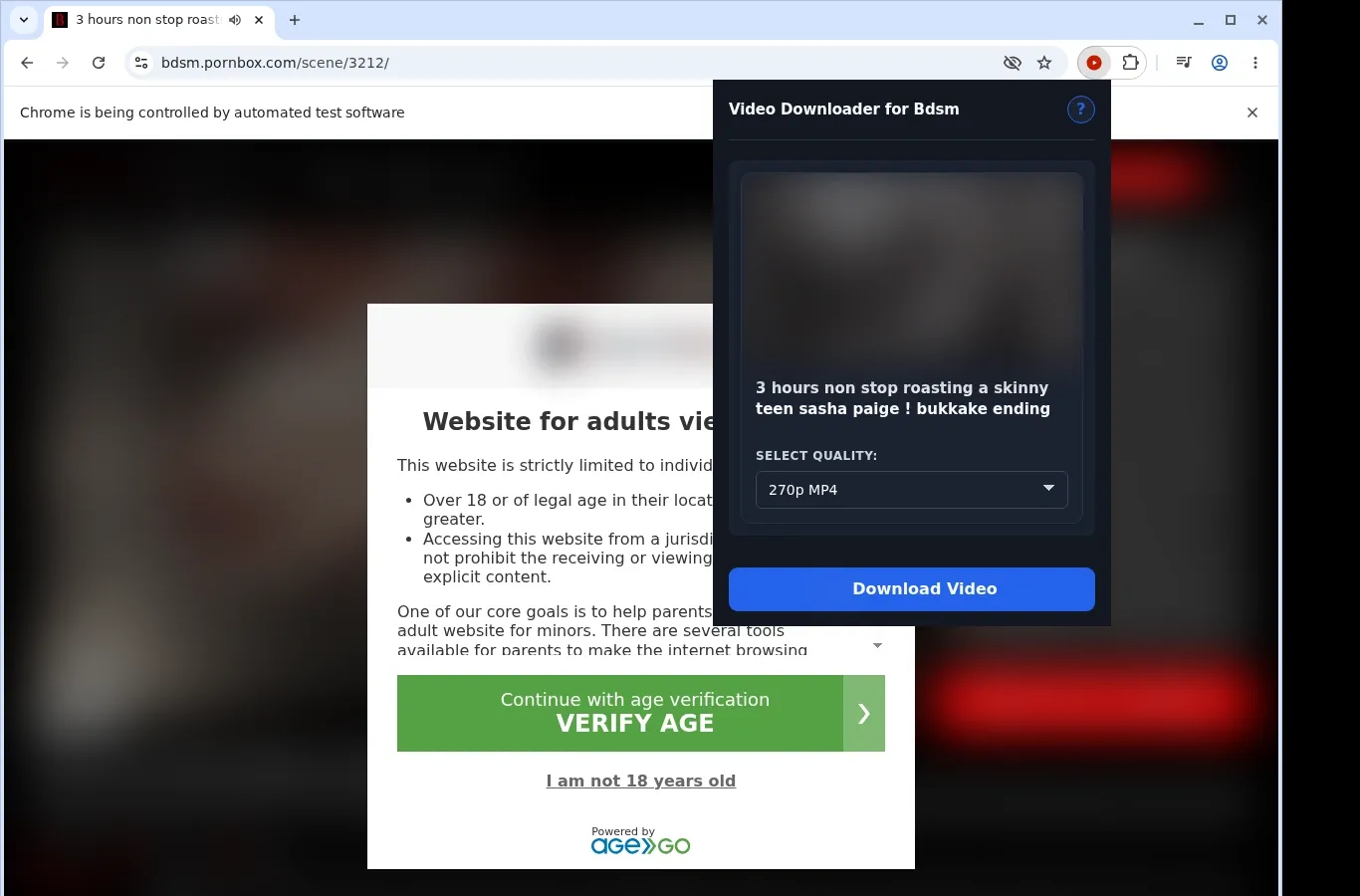 Bdsm Downloader
