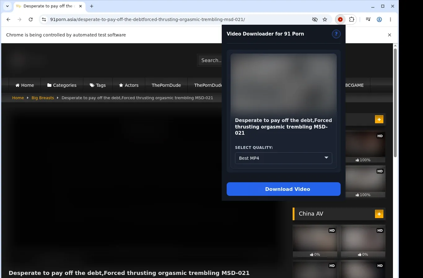 91Porn Video Downloader