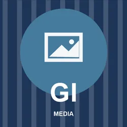 Google Images Scraper