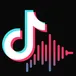 Tiktok Video Transcirpt Using OpenAI Whisper API avatar