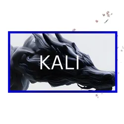 Kali Security Tools Actor avatar