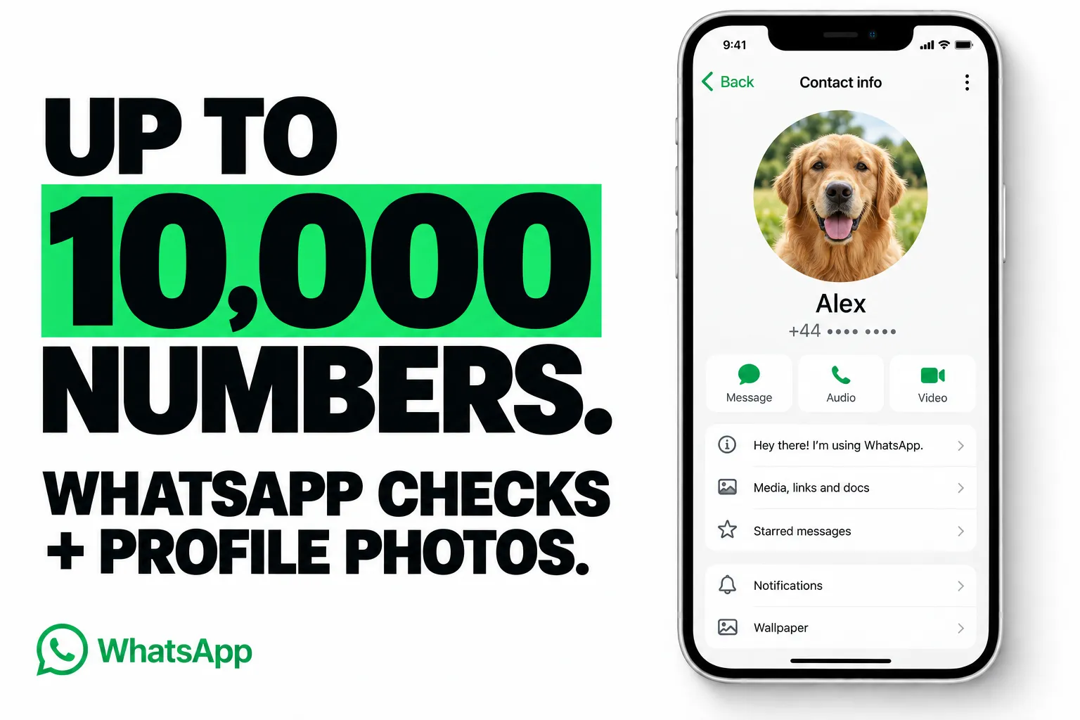 Up to 10,000 numbers. WhatsApp checks + profile photos.