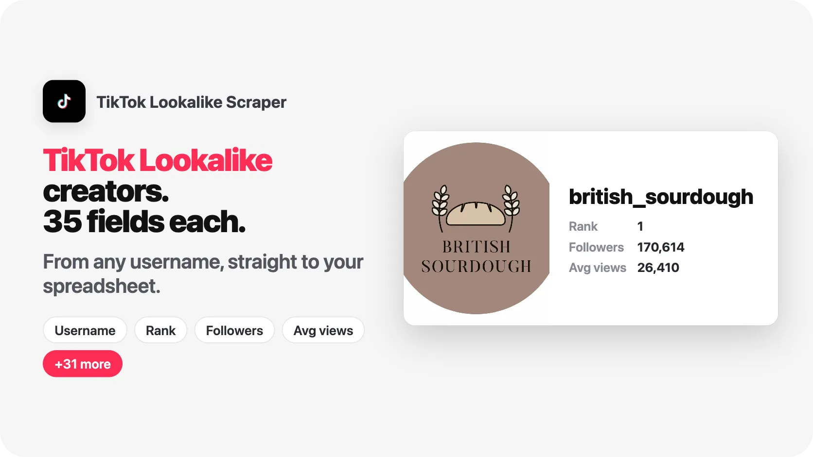 1 username. 20 TikTok Lookalike creators. 35 fields per creator.