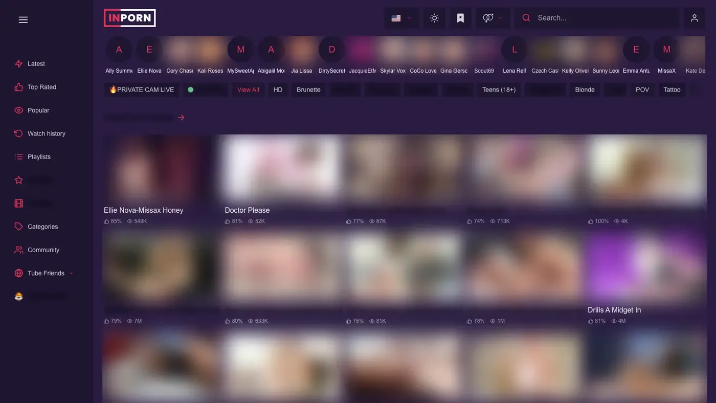 Inporn Downloader