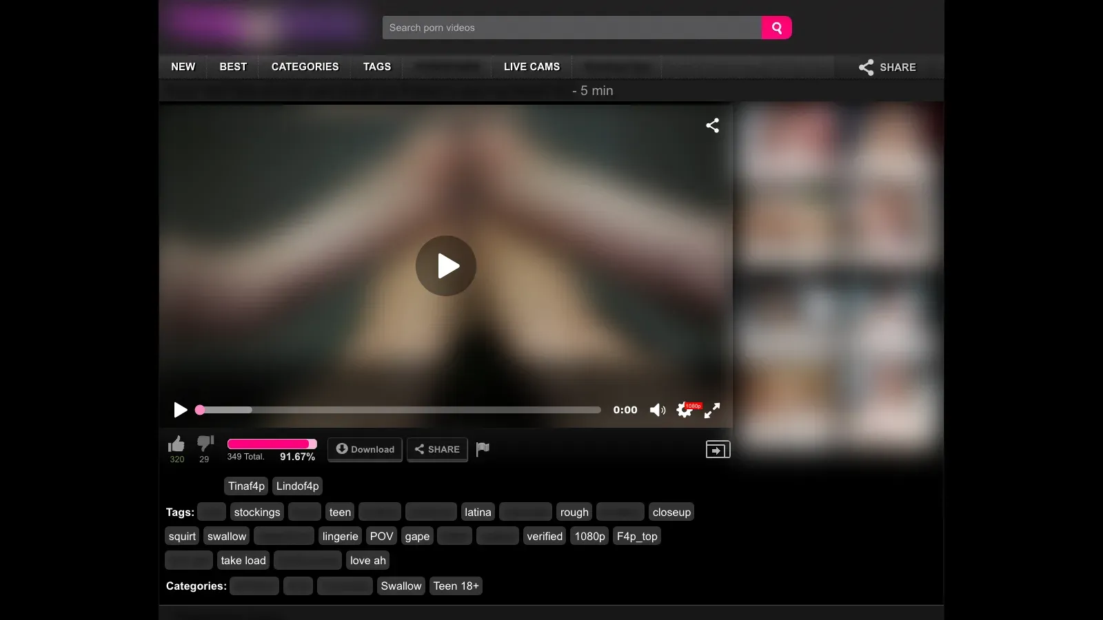 Pussyspace Downloader