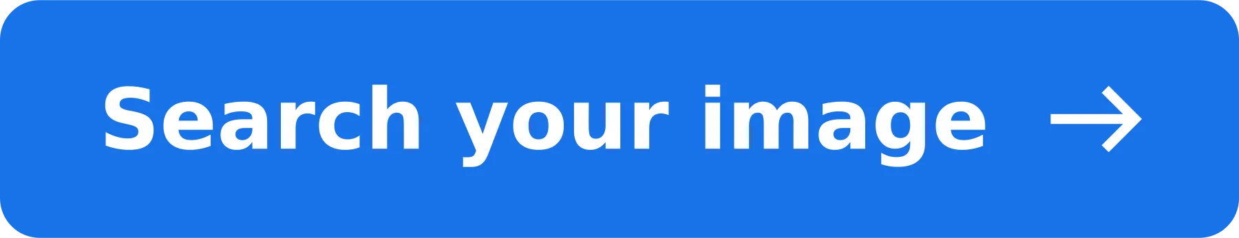Search your image