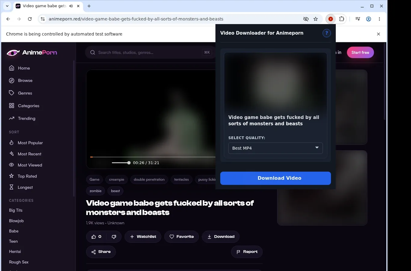 Animeporn Video Downloader