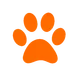 Baidu Scraper avatar