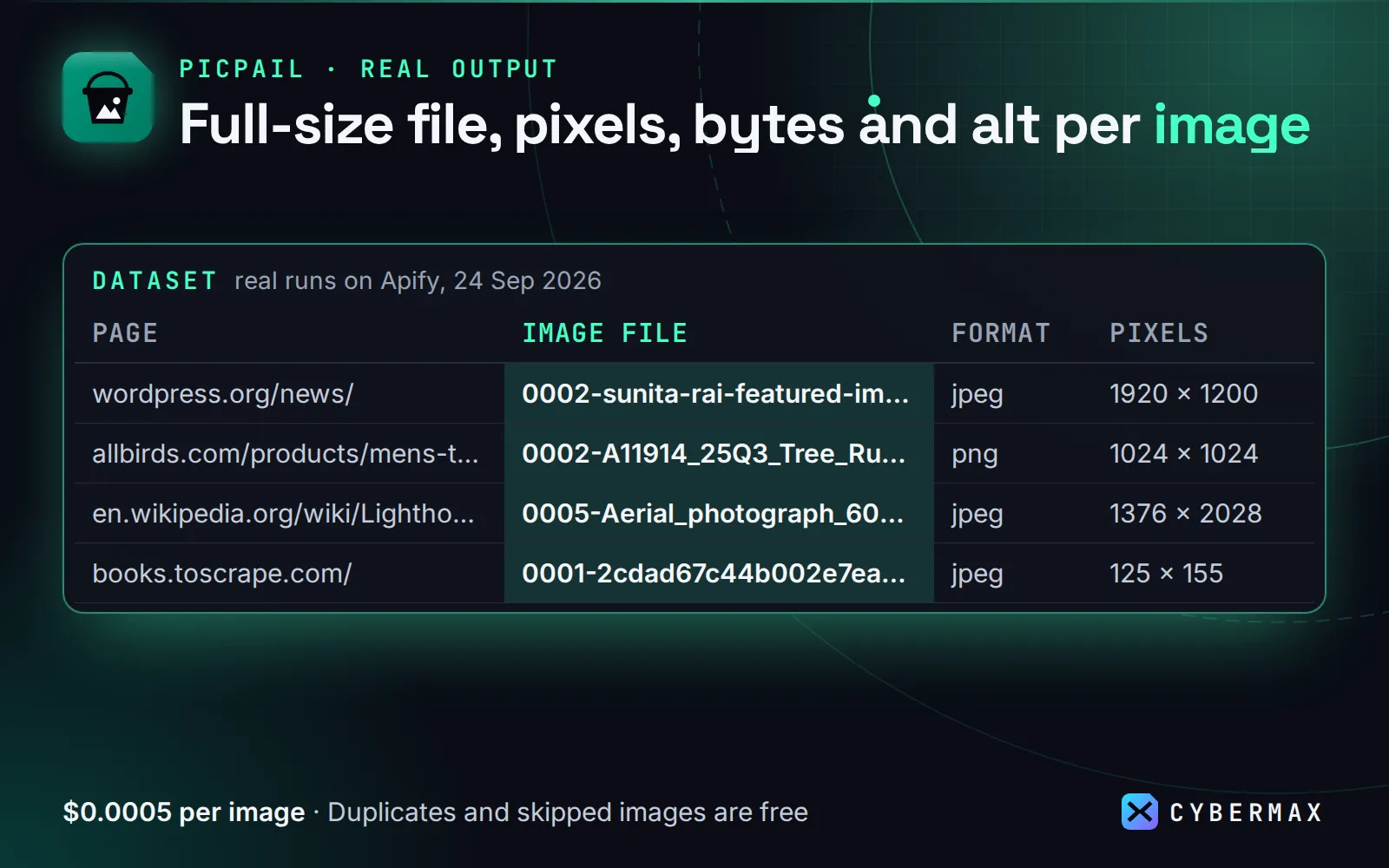 Picpail: real output