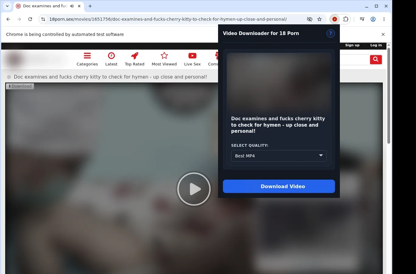 18 Porn Video Downloader