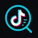 TikTok Profile Scraper avatar