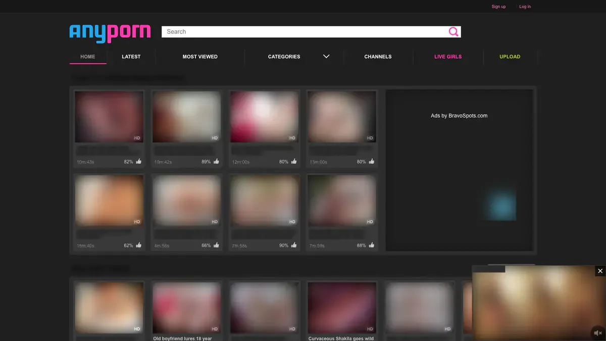 Anyporn Downloader