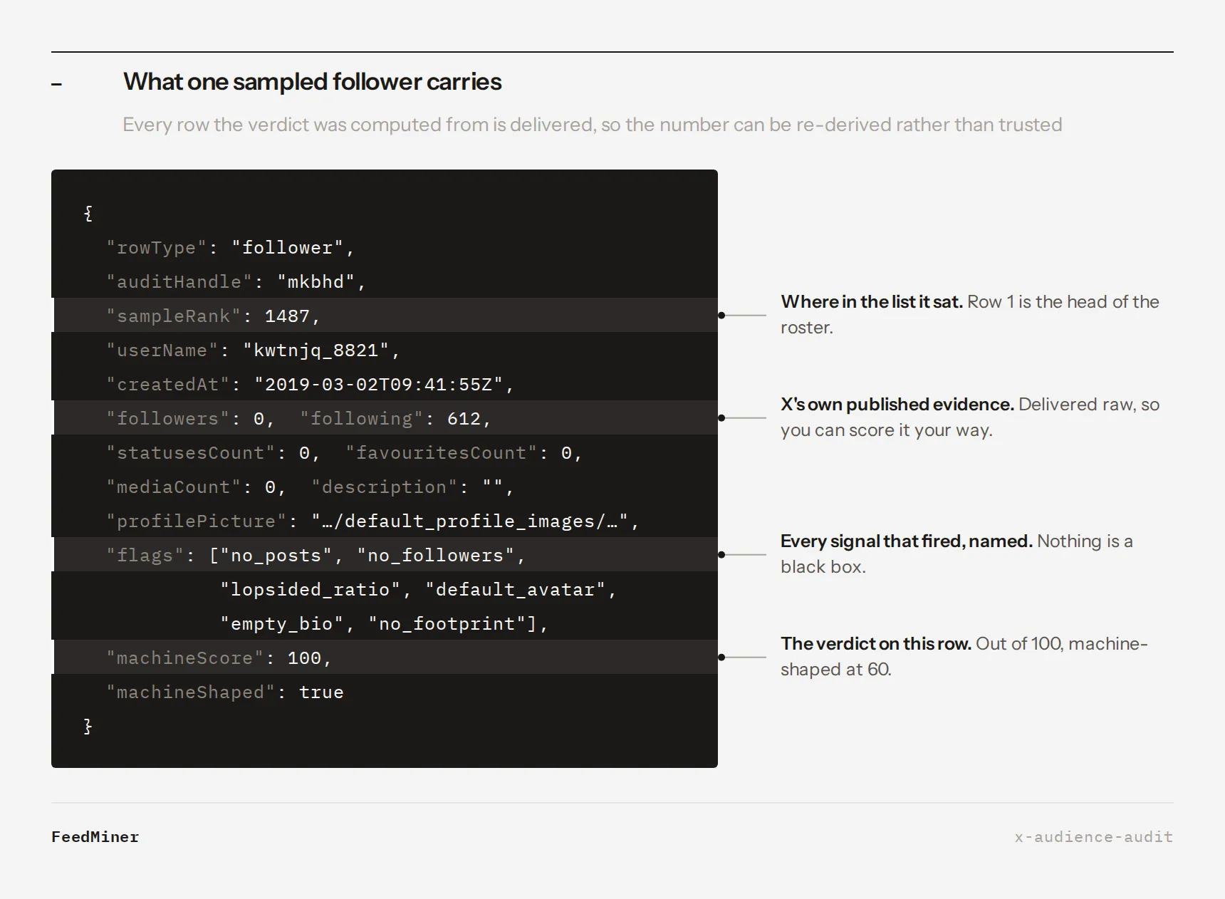What one sampled follower row of the X Audience Audit carries, field by field