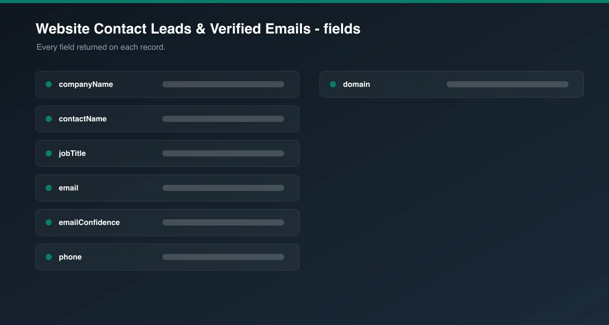 Website Contact Leads & Verified Emails data fields