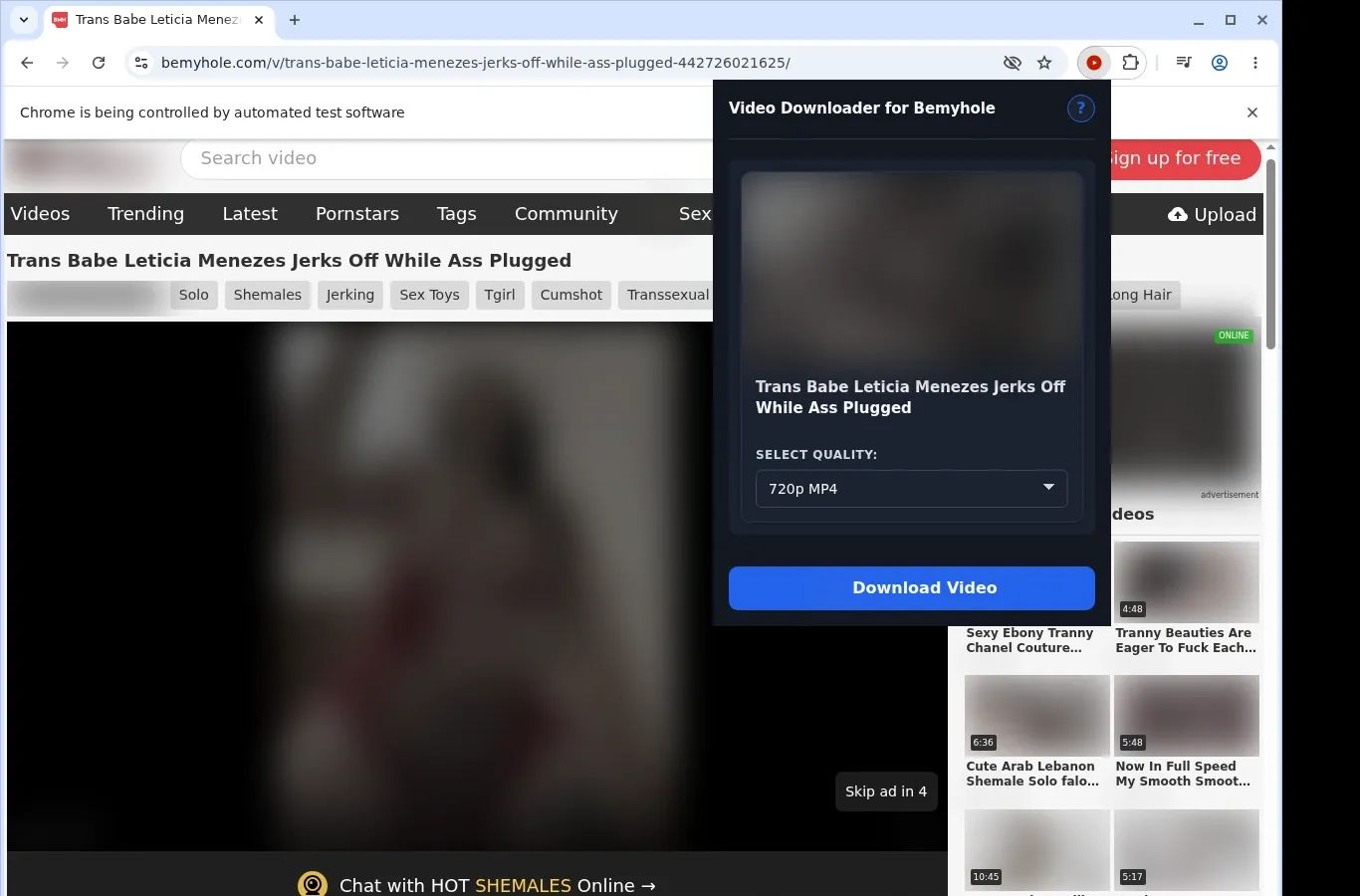 Bemyhole Downloader