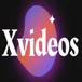 Xvideos Scraper Bulk Scraper Pro avatar