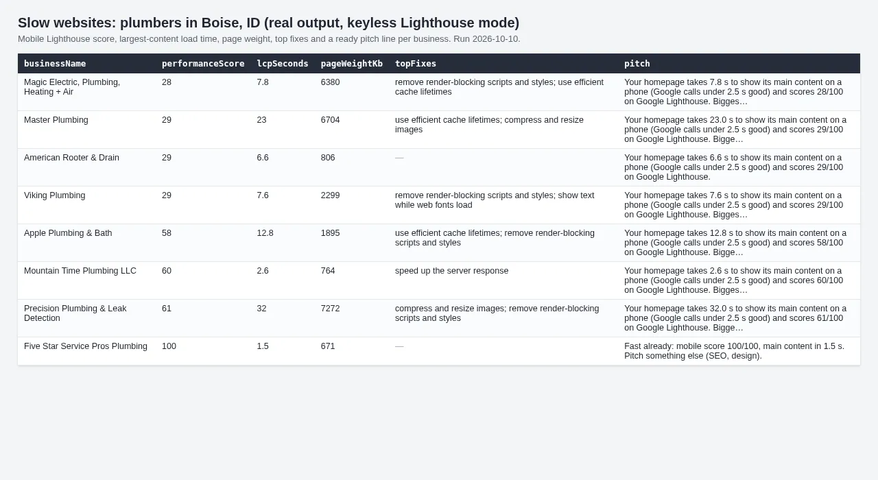 Slow websites of plumbers in Boise, ID: real output, keyless Lighthouse mode