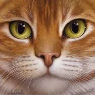 Author's avatar