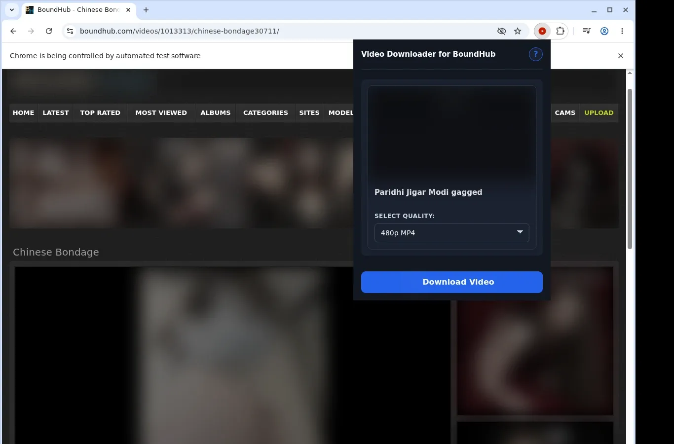 BoundHub Video Downloader