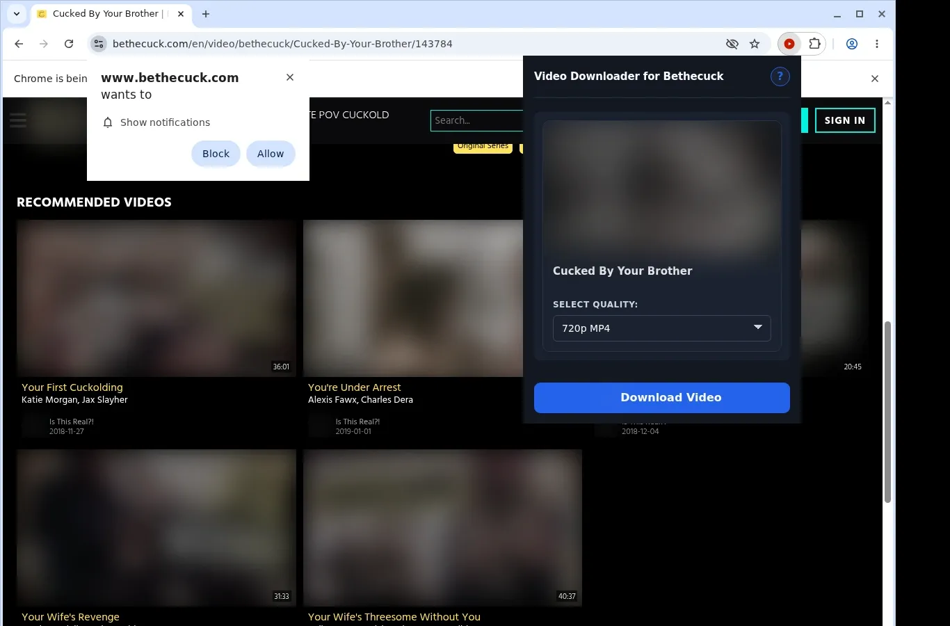 BeTheCuck Video Downloader