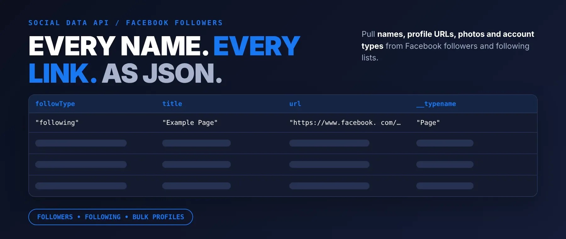 Facebook Followers & Following Scraper hero: names, profile URLs and account types as JSON