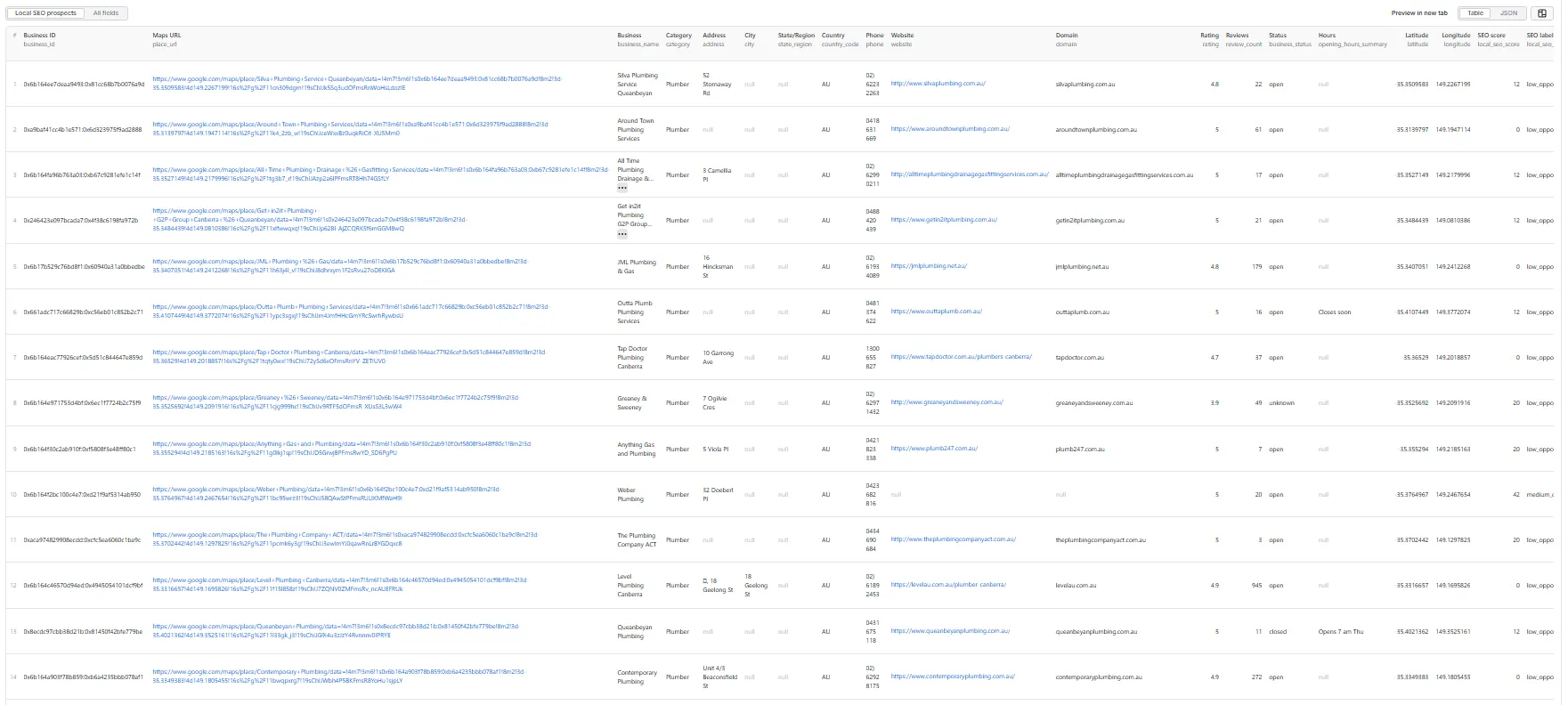 Local SEO prospects table view