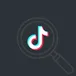Tiktok Engagement Rate avatar