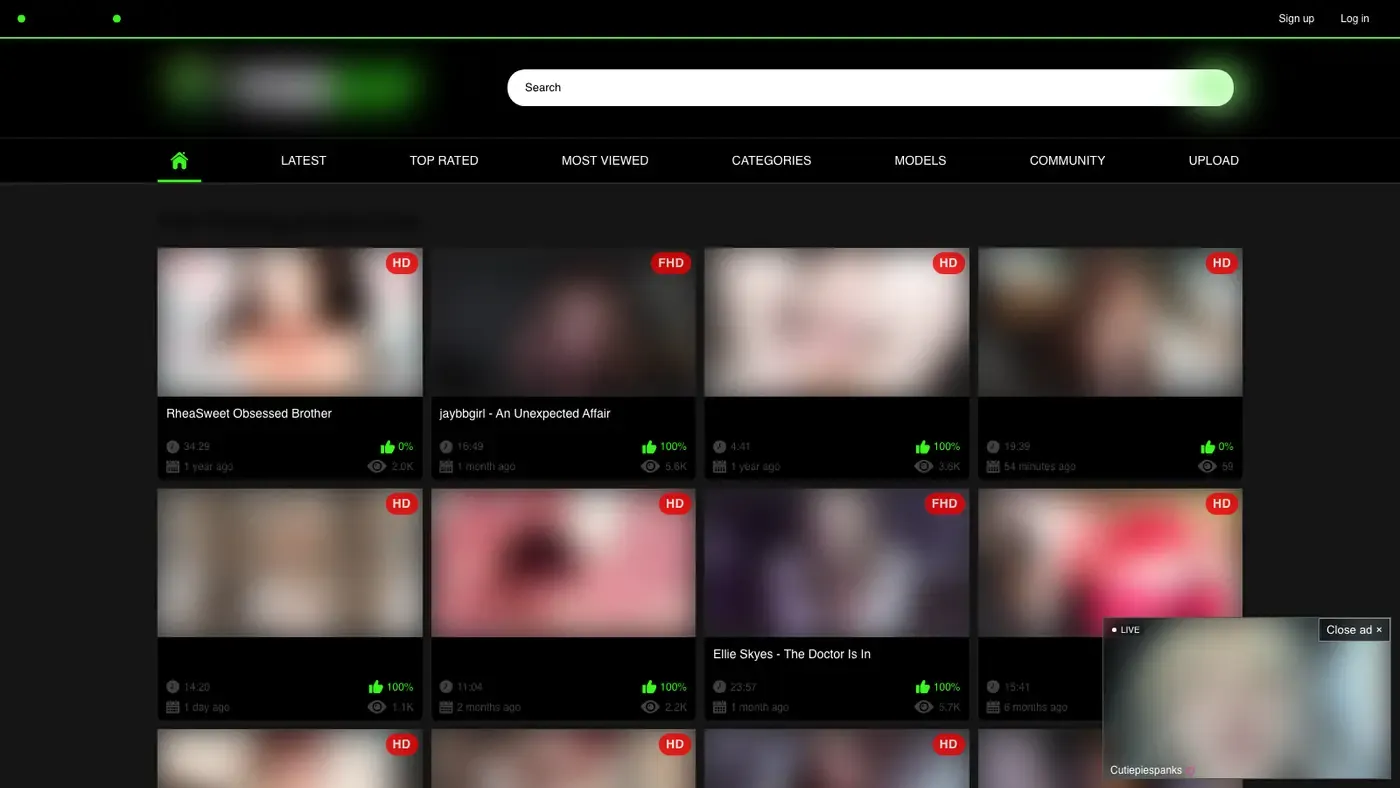 Pornekip Downloader