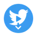 Twitter Video Downloader avatar