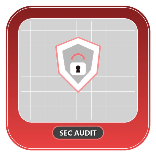 Bulk Domain Security & SSL/TLS Audit Tool Icon