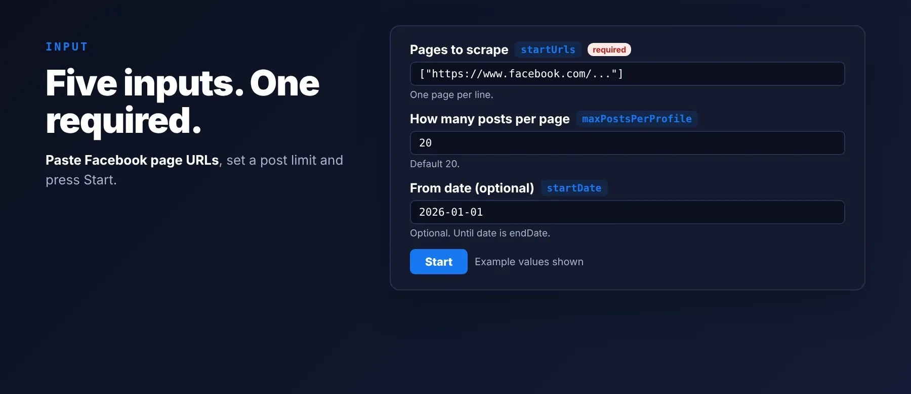 Facebook Page Posts Scraper input fields