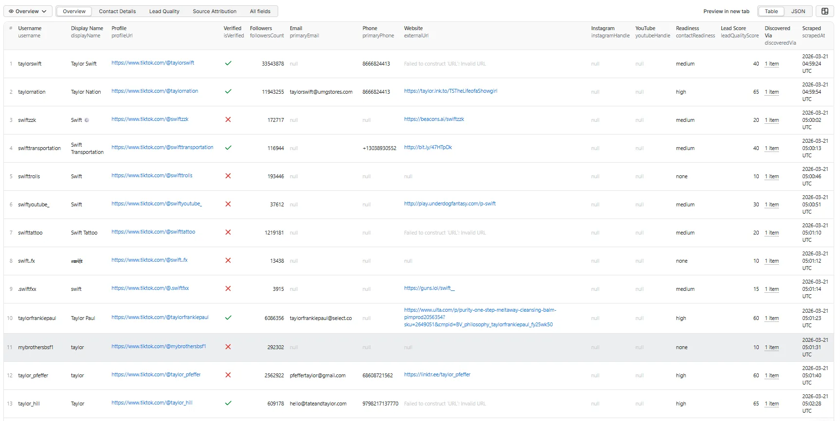 TikTok Contact Extractor — Output overview table view