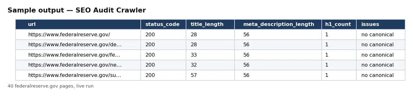 Table of audited pages: URL, status code, title length, meta description length, H1 count, word count and issues.