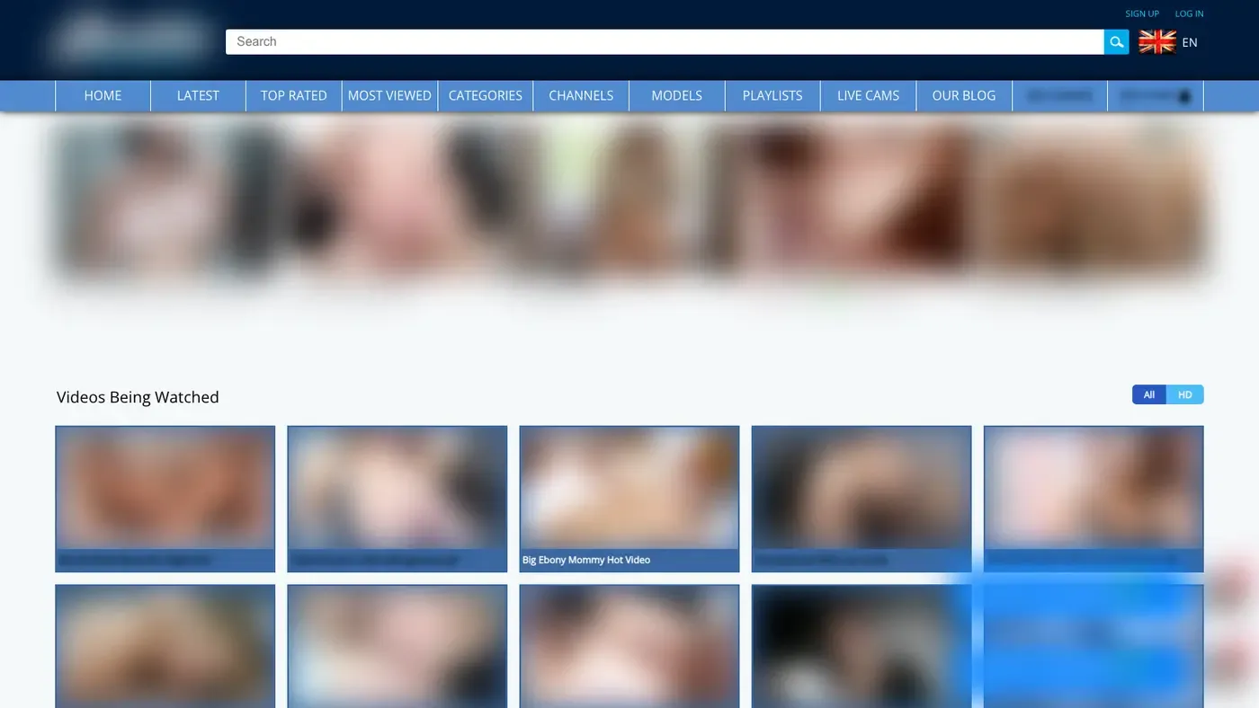 Analdin Downloader