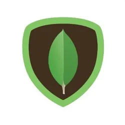 MongoDB Import avatar