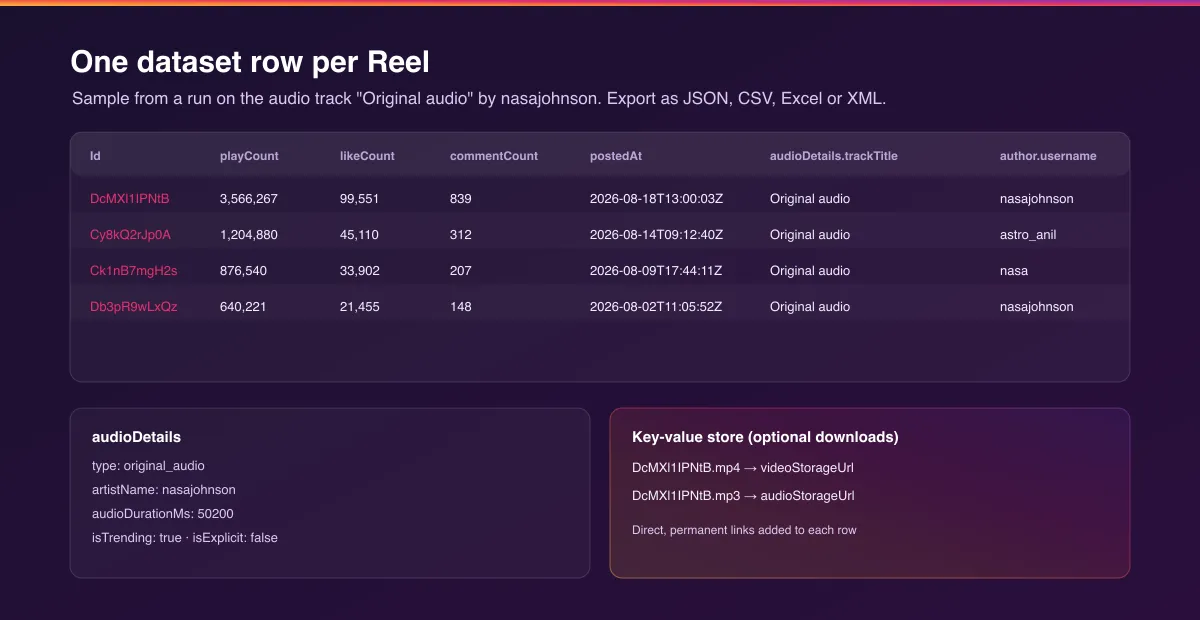 Instagram Reels dataset output with audio metadata