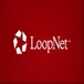 Loopnet Scraper avatar