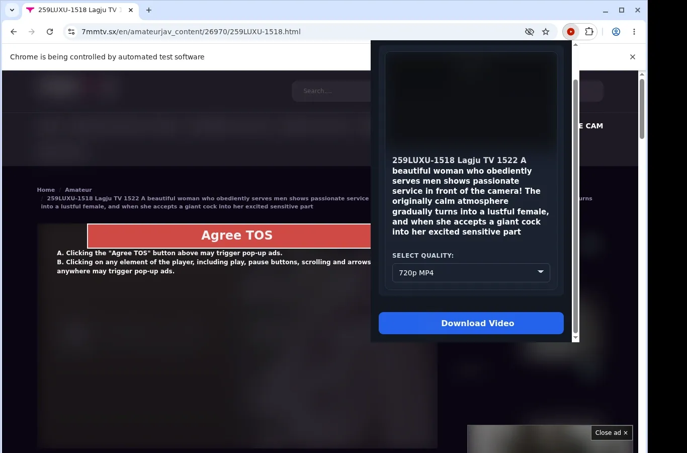 7 Mmtv Downloader