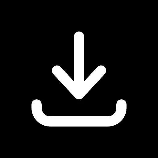 TikTok Video Downloader