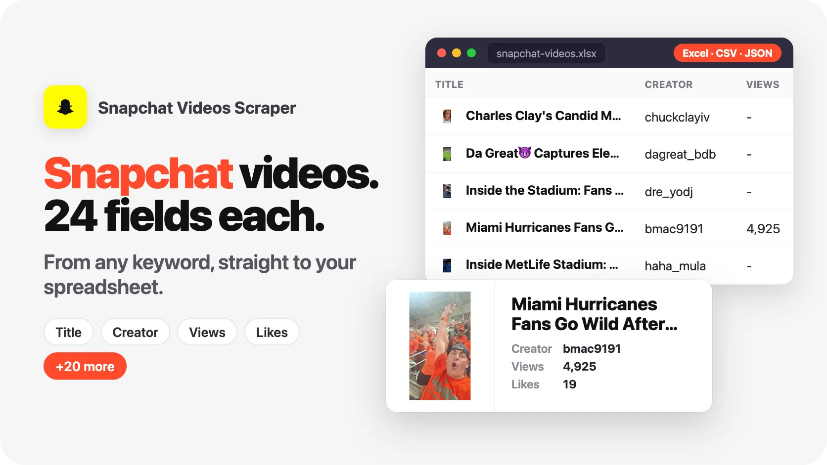 1 keyword. 20 Snapchat videos. 24 fields per video.