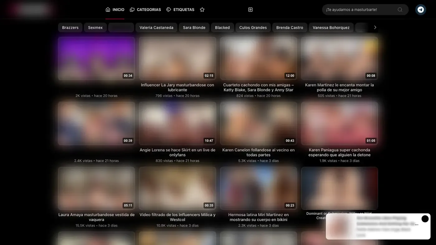 Itnaked Downloader