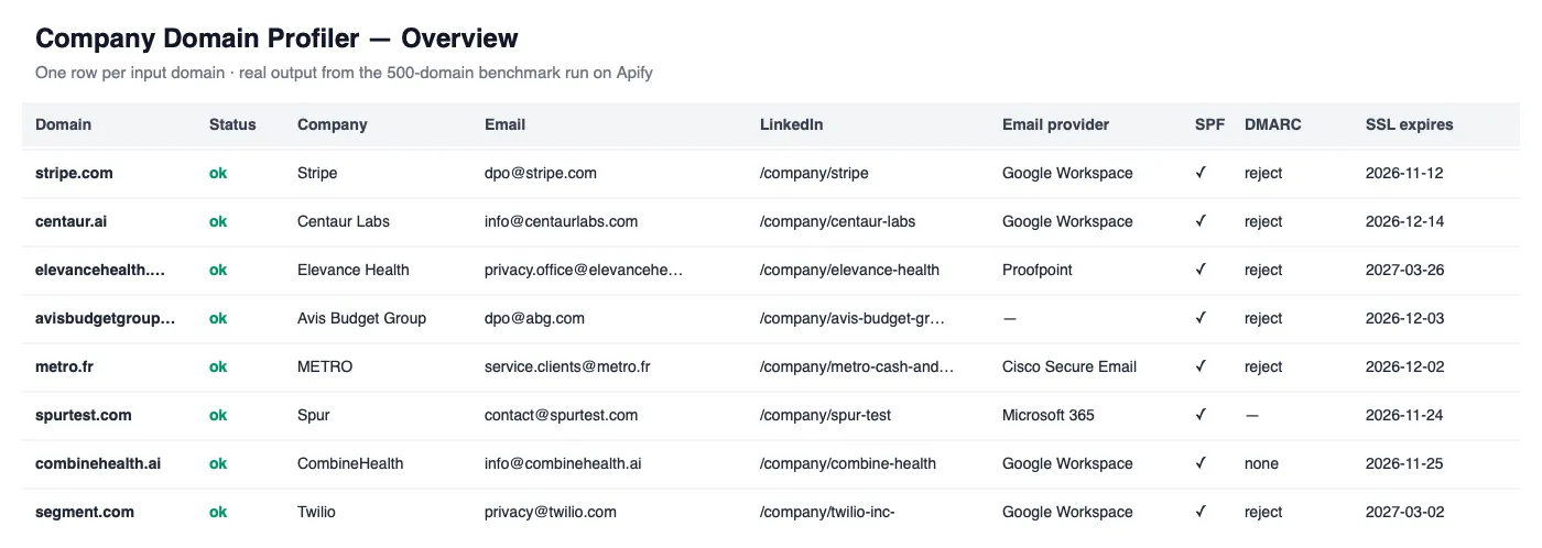Overview of profiled domains: company, email, LinkedIn, email provider, SPF, DMARC, SSL expiry