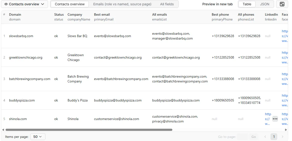 Website Contact Extractor sample output table
