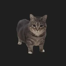 Jan