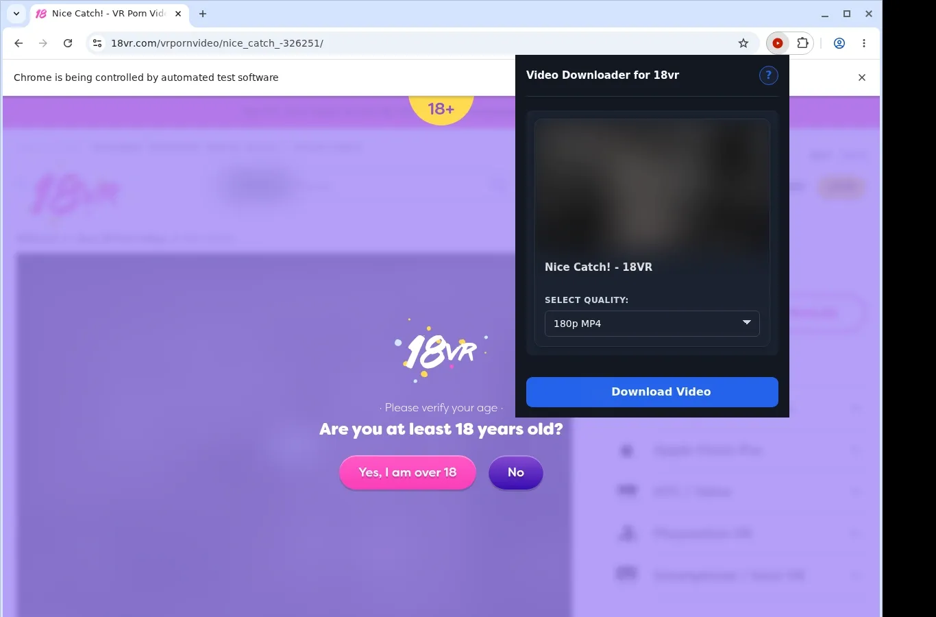 18vr Downloader