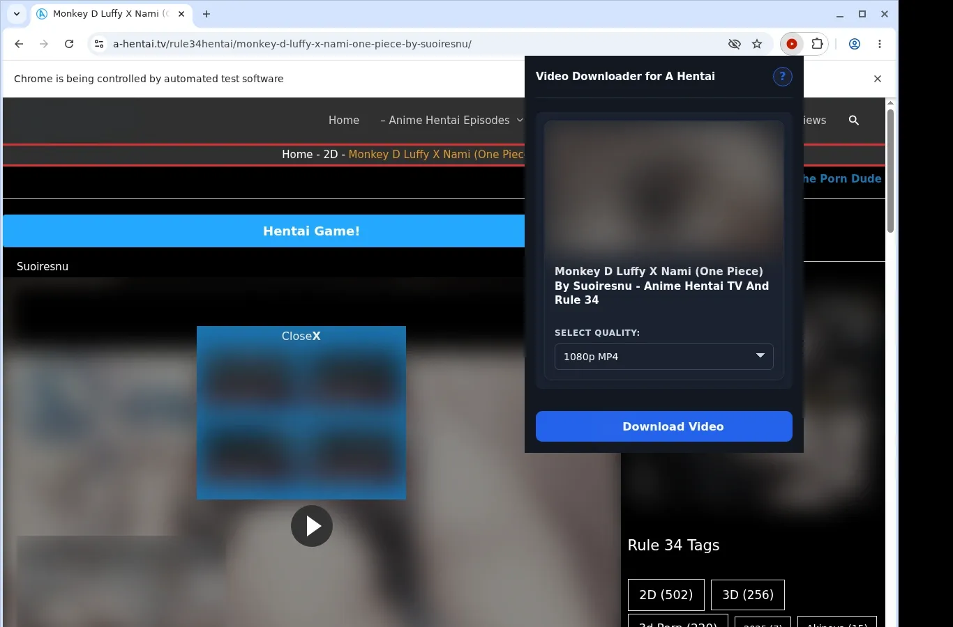 Ahentai Video Downloader